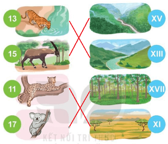 Toán 3 Bài 47 - Làm quen với chữ số La Mã - Hình 3