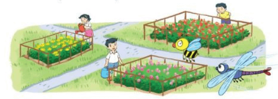 Toán 3 Bài 53 - Luyện tập chung - Hình 4