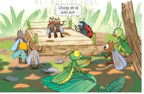 Toán 3 Bài 53 - Luyện tập chung - Hình 6