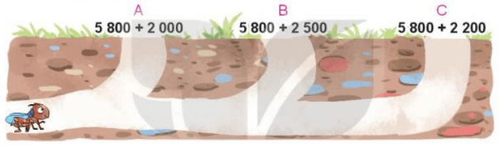 Toán 3 Bài 54 - Phép cộng trong phạm vi 10000 - Hình 7