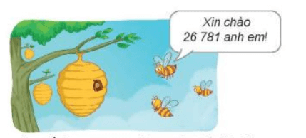 Toán 3 Bài 62 - Luyện tập chung - Hình 14