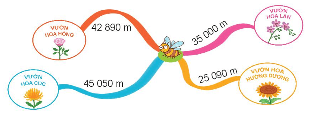 Toán 3 Bài 62 - Luyện tập chung - Hình 3