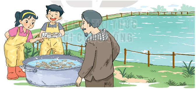 Toán 3 Bài 63 - Phép cộng trong phạm vi 100000 - Hình 8