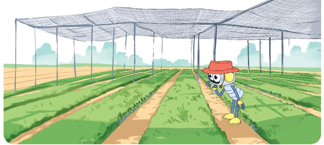 Toán 3 Bài 70 - Nhân số có năm chữ số với số có một chữ số - Hình 12