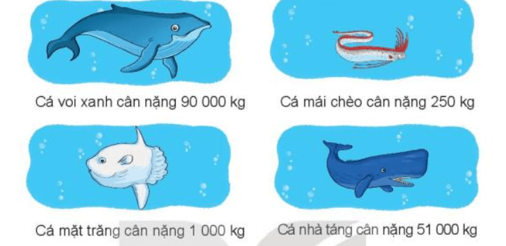 Toán 3 Bài 76 - Ôn tập các số trong phạm vi 10000, 100000 - Hình 2