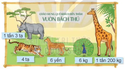 Toán 4 Bài 20 - Thực hành và trải nghiệm sử dụng một số đơn vị đo đại lượng - Hình 8