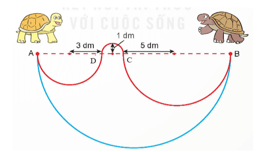 Toán 5 Bài 27 - Đường tròn. Chu vi và diện tích hình tròn - Hình 13