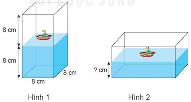 Toán 5 Bài 55 - Luyện tập chung - Hình 14