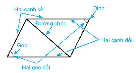 Hình ảnh minh họa kiến thức SGK Toán 6 Bài 19 (Hình 4)