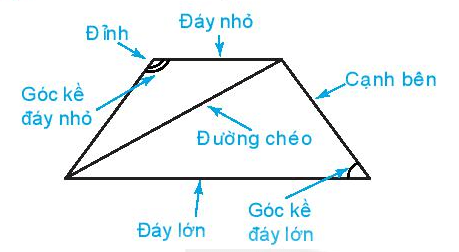 Hình ảnh minh họa kiến thức SGK Toán 6 Bài 19 (Hình 7)