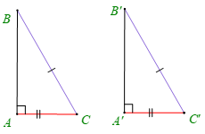Hình 4: Các trường hợp bằng nhau của tam giác vuông lớp 7 (Lý thuyết Toán 7 Kết nối tri thức) (ảnh 4)