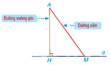 Hình 1: Quan hệ giữa đường vuông góc và đường xiên lớp 7 (Lý thuyết Toán 7 Kết nối tri thức) (ảnh 1)
