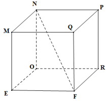 Hình 4: Hình hộp chữ nhật và hình lập phương lớp 7 (Lý thuyết Toán 7 Kết nối tri thức) (ảnh 4)