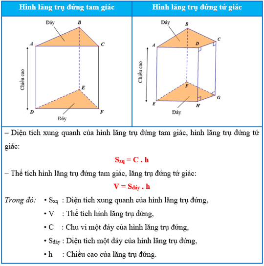 Hình 3: Hình lăng trụ đứng tam giác và hình lăng trụ đứng tứ giác lớp 7 (Lý thuyết Toán 7 Kết nối tri thức) (ảnh 3)