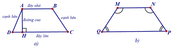 Hình 1: Hình thang cân lớp 8 (Lý thuyết Toán 8 Kết nối tri thức) (ảnh 1)