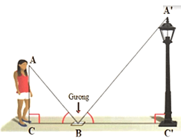 Hình 8: Các trường hợp đồng dạng của hai tam giác vuông lớp 8 (Lý thuyết Toán 8 Kết nối tri thức) (ảnh 8)