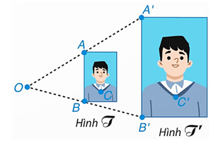 Hình 1: Hình đồng dạng lớp 8 (Lý thuyết Toán 8 Kết nối tri thức) (ảnh 1)