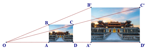 Hình 5: Hình đồng dạng lớp 8 (Lý thuyết Toán 8 Kết nối tri thức) (ảnh 5)