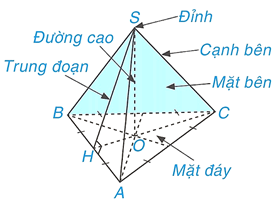 Hình 1: Hình chóp tam giác đều lớp 8 (Lý thuyết Toán 8 Kết nối tri thức) (ảnh 1)