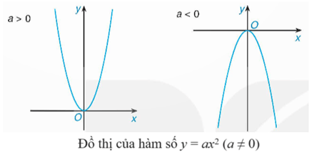 Đồ thị hàm số bậc hai y = -x² (hệ số a < 0) trên mặt phẳng toạ độ Oxy