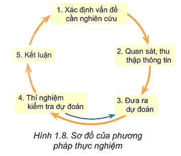 Hình 1.8. Sơ đồ của phương pháp thực nghiệm