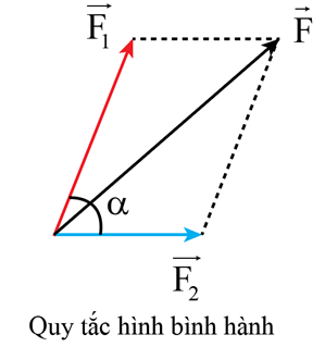 Phân tích trọng lực trên mặt phẳng nghiêng