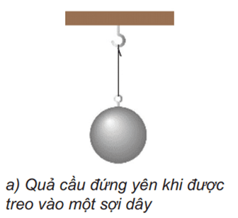 Hành khách bị ngã theo quán tính khi xe phanh