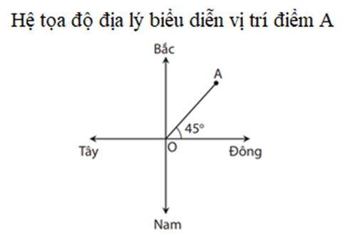 Vectơ độ dịch chuyển