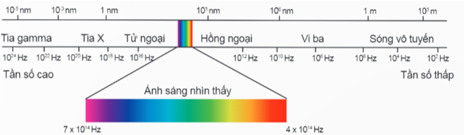 Hình ảnh minh họa SGK