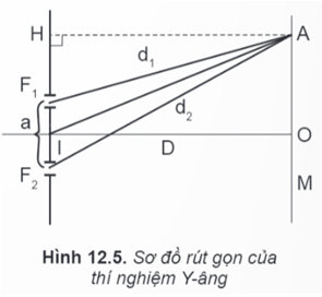 Hình ảnh minh họa SGK