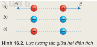 Hình ảnh minh họa SGK