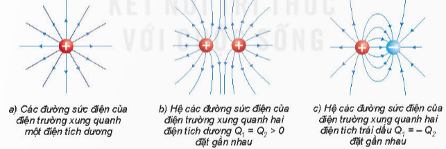 Hình ảnh minh họa SGK