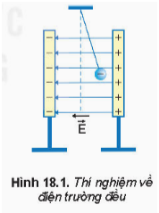 Hình ảnh minh họa SGK