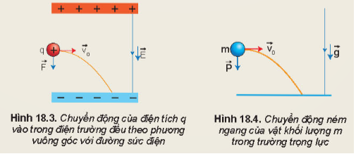 Hình ảnh minh họa SGK