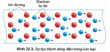 Hình ảnh minh họa SGK