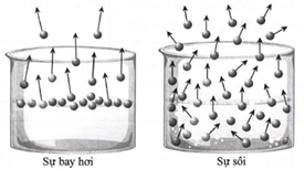 Hình ảnh minh họa SGK