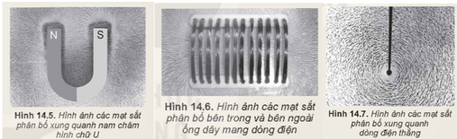 Hình ảnh minh họa SGK