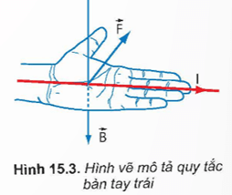 Hình ảnh minh họa SGK