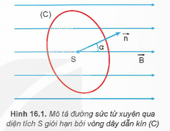 Hình ảnh minh họa SGK