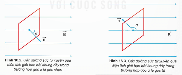 Hình ảnh minh họa SGK