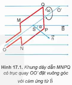 Hình ảnh minh họa SGK