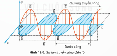 Hình ảnh minh họa SGK
