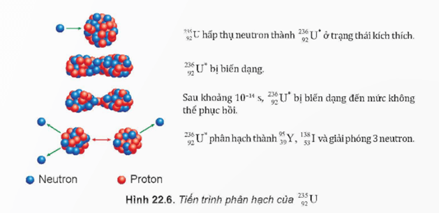 Hình ảnh minh họa SGK