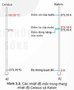 Hình ảnh minh họa SGK
